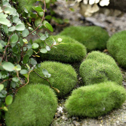 5pcs Artificial Moss Stones