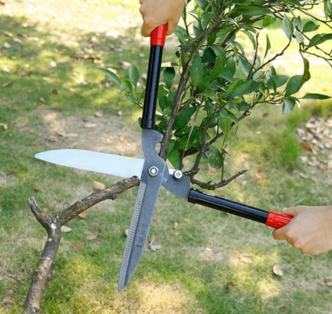 High-Quality Garden Scissor